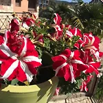 Nataliia-nikiti